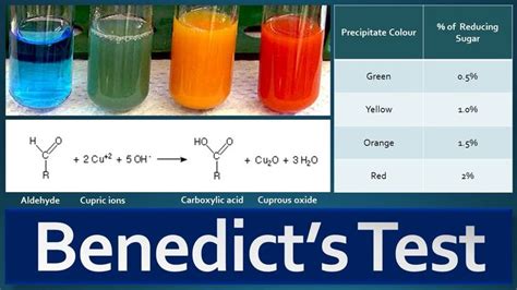 benedicts test colors|Benedict’s Test : Principle, Reagent Preparation, Procedure and .